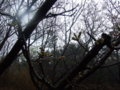 20100401102326