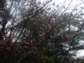 20100401102337