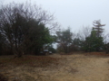 20100401102654