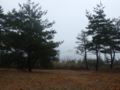 20100401102659