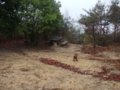 20100401102708