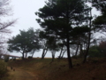 20100401103010