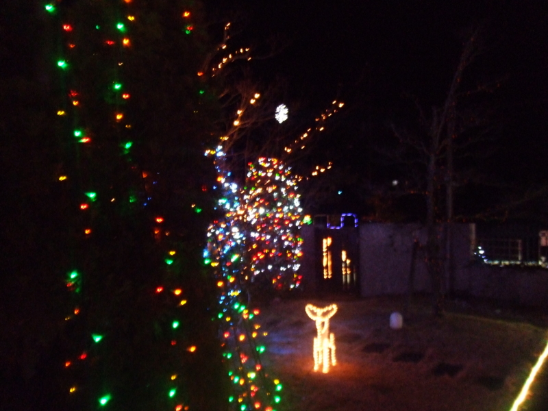 f:id:r-bikou:20101224202058j:image