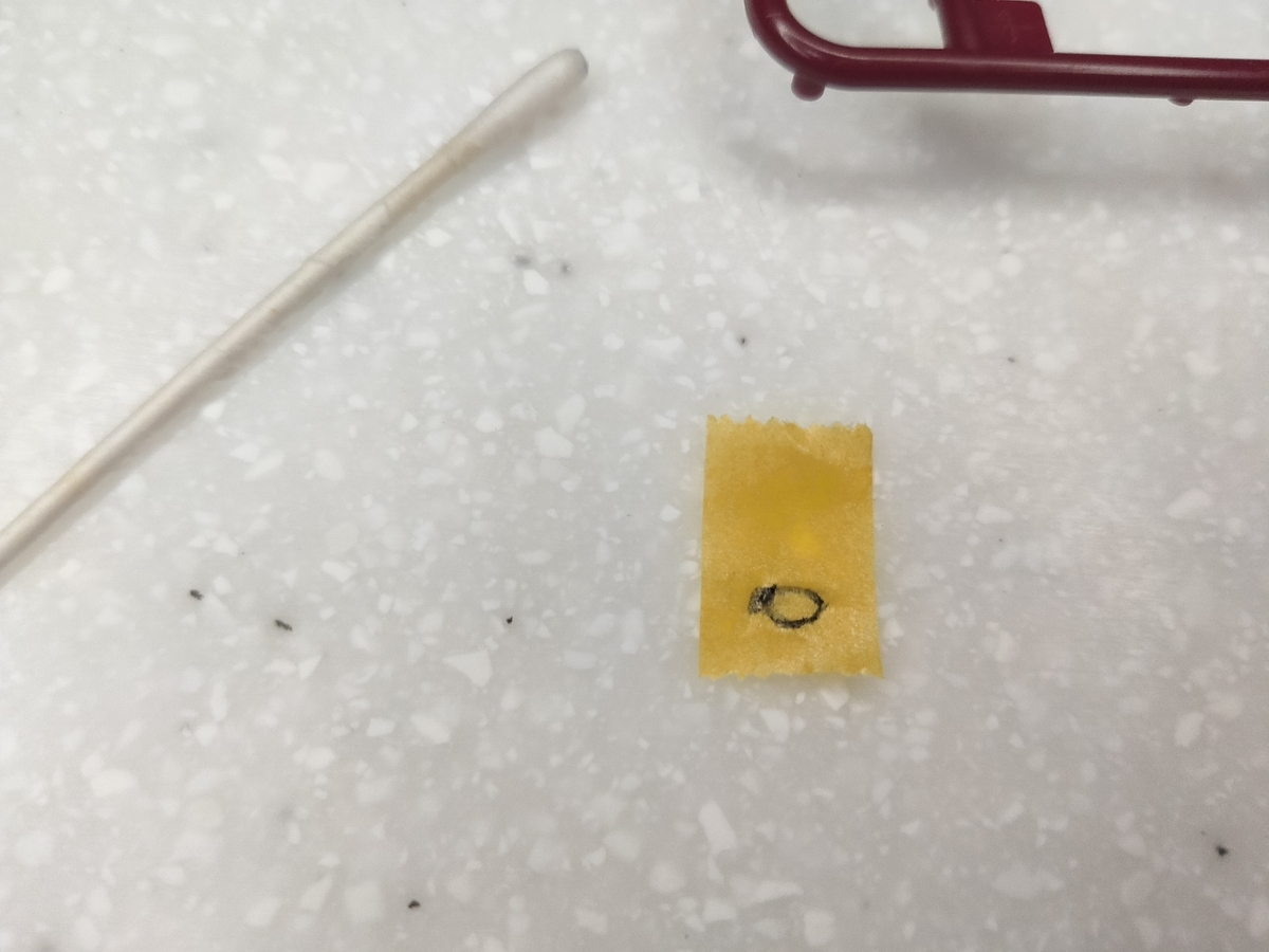 f:id:r-chance:20211001111751j:plain