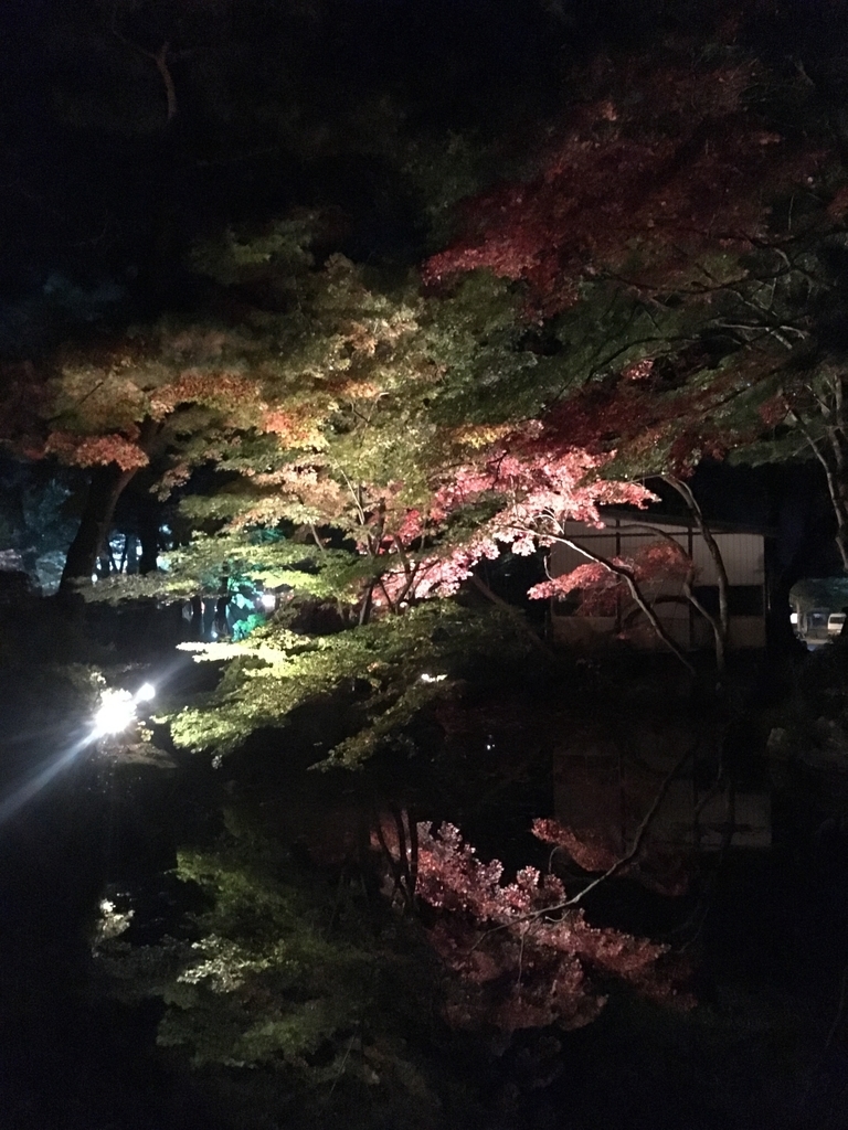 f:id:r-relax:20181116124401j:plain f:id:r-relax:20181116124401j:plain