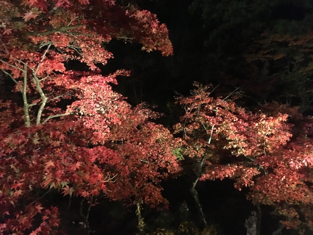f:id:r-relax:20181116124445j:plain f:id:r-relax:20181116124445j:plain