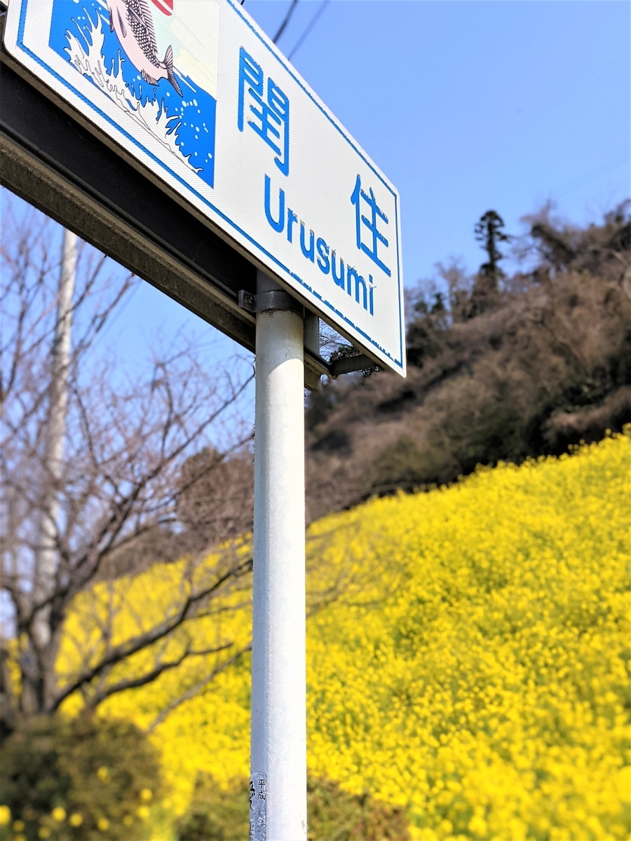 きれいな景色見に行ってきたよ 不動産大好きrの物件解説 Blog きれいな景色見に行ってきたよ 不動産大好きrの物件解説 Blog