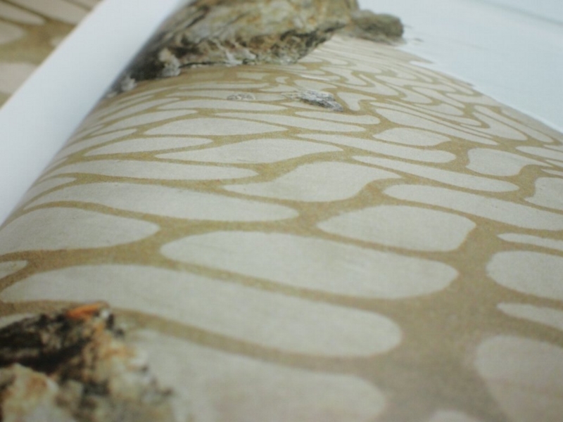 f:id:r-taro:20140701005602j:image f:id:r-taro:20140701005602j:image