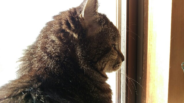 f:id:r-taro:20180103091514j:plain