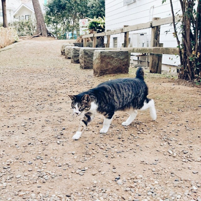 f:id:r-taro:20180106214412j:plain