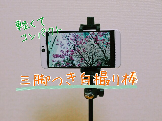 f:id:r-taro:20180327220251j:plain