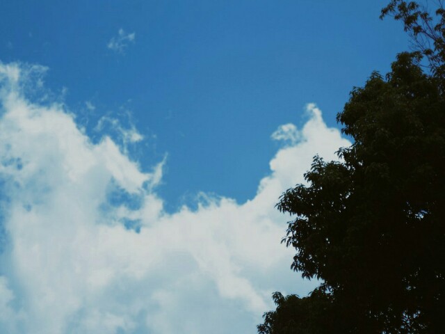 f:id:r-taro:20180702180104j:plain