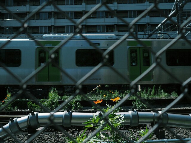 f:id:r-taro:20180920084845j:plain