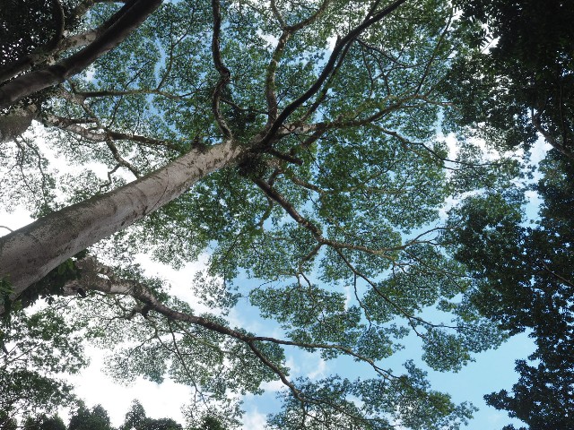 f:id:r-taro:20181219175654j:plain