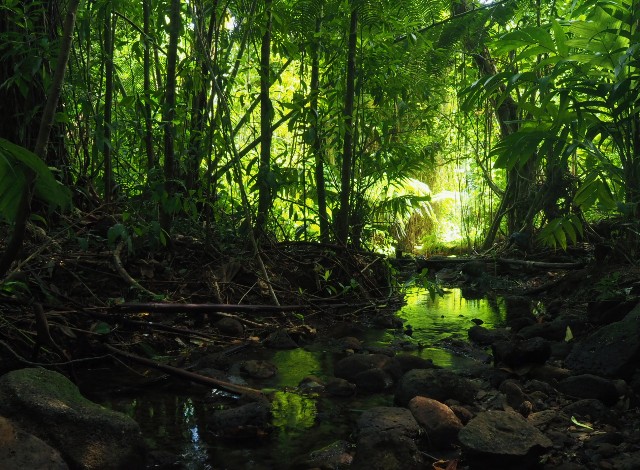 f:id:r-taro:20181221174216j:plain