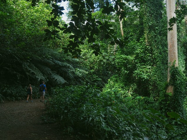 f:id:r-taro:20181222202246j:plain