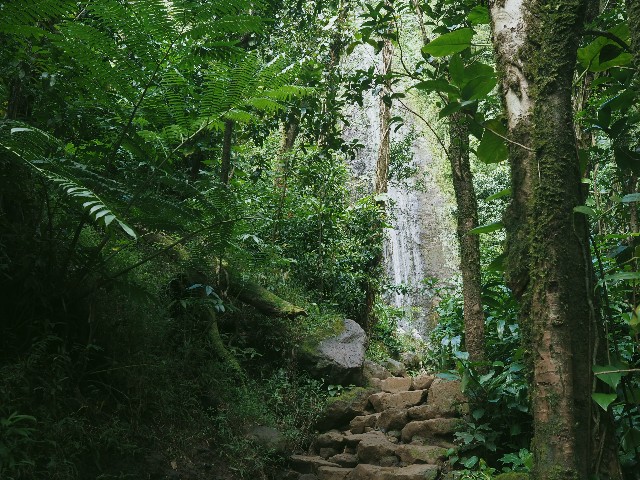 f:id:r-taro:20181222202333j:plain