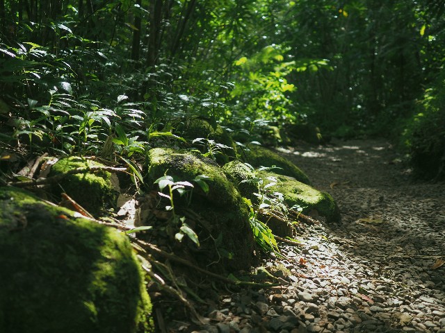 f:id:r-taro:20181222202342j:plain