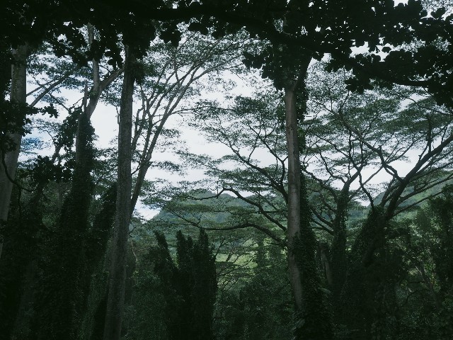 f:id:r-taro:20181222202436j:plain