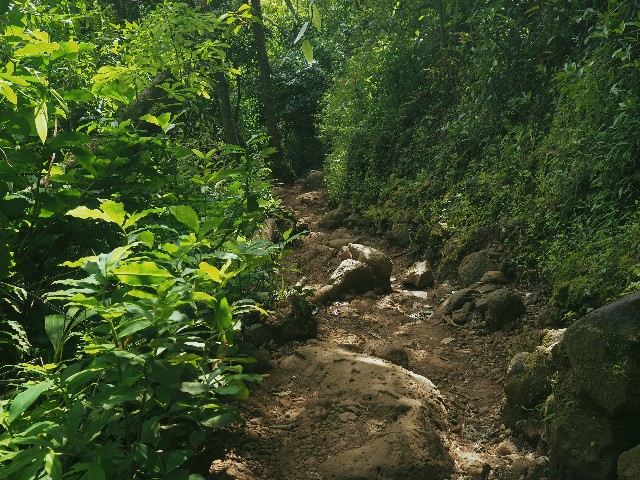 f:id:r-taro:20181222202711j:plain