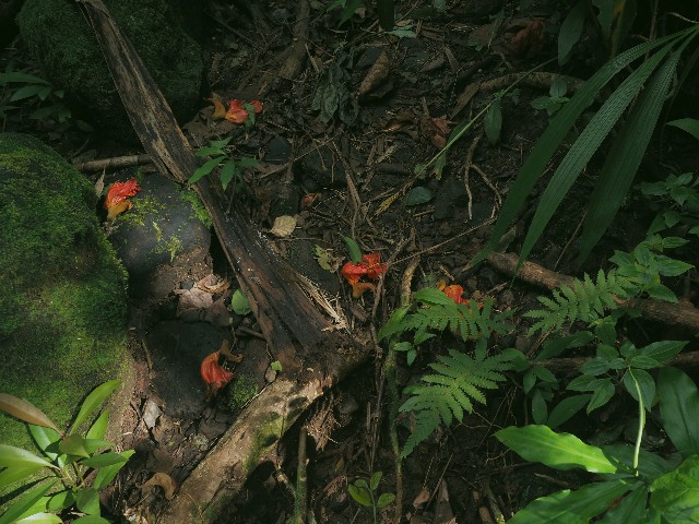 f:id:r-taro:20181222202721j:plain