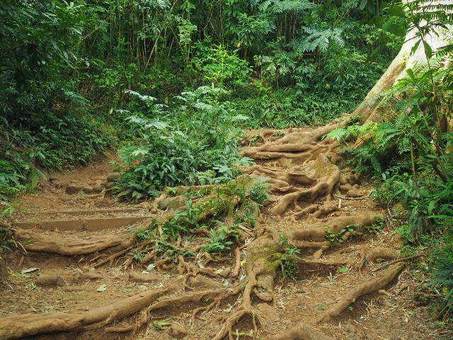 f:id:r-taro:20181223150256j:plain