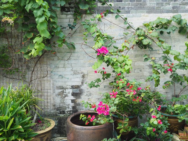 f:id:r-taro:20190820185004j:plain