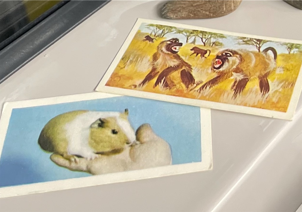 f:id:r-za:20250907230033j:image f:id:r-za:20250907230033j:image