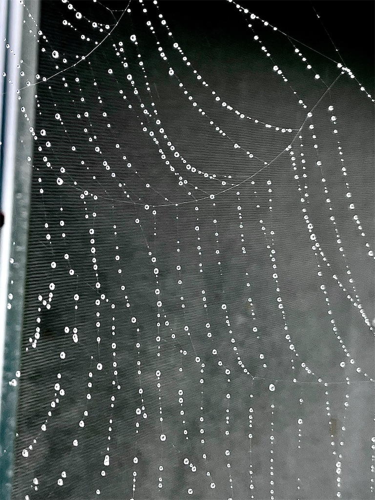 f:id:r-za:20251012154511j:image