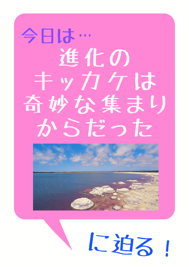 f:id:r0ck-snufkin:20200701083232p:image