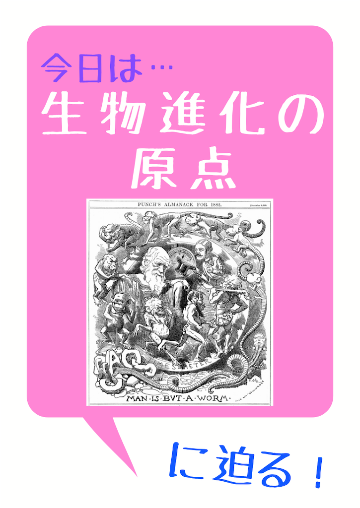 f:id:r0ck-snufkin:20200712095659p:image