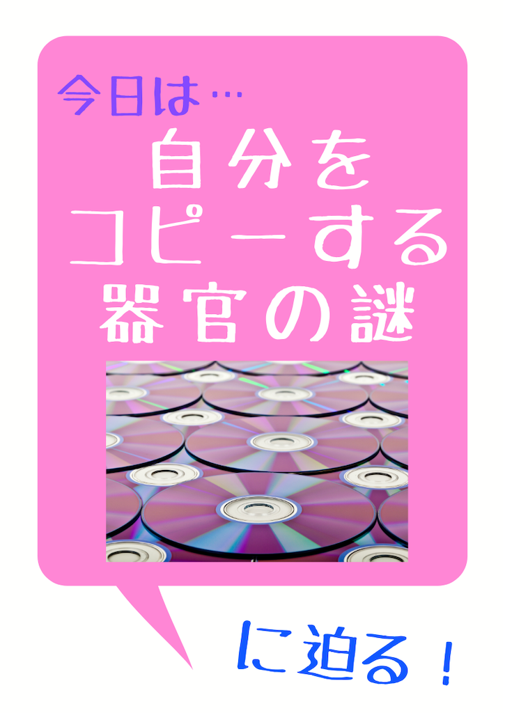 f:id:r0ck-snufkin:20200724163621p:image