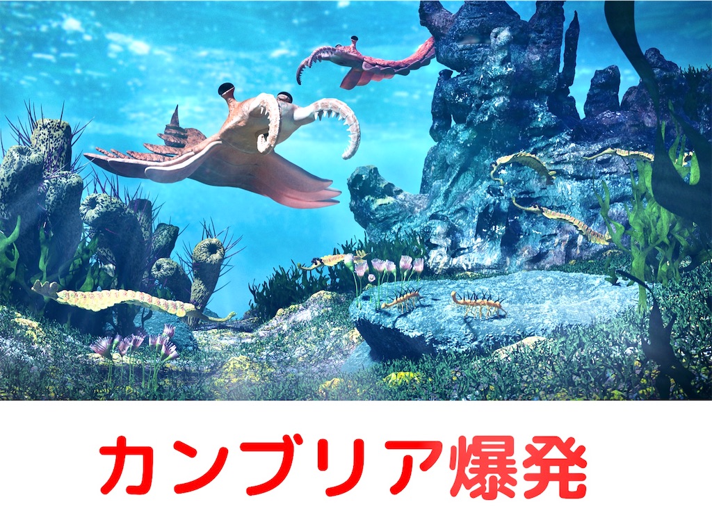 f:id:r0ck-snufkin:20200823153003j:image