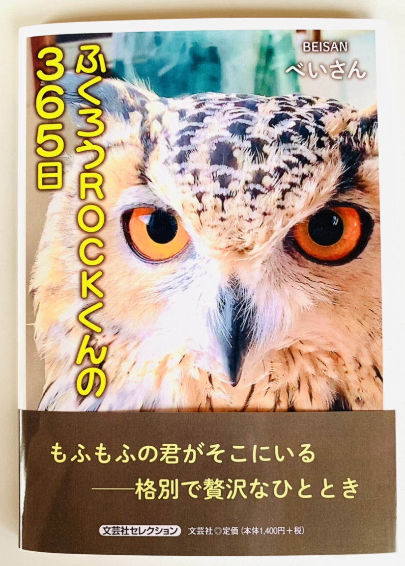 f:id:r0ck-snufkin:20210329200526p:plain