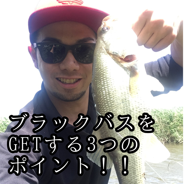 f:id:r10290706:20190522234544p:plain