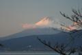 [富士山][夕焼け]夕暮れ時の富士山@伊豆長岡町