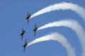 [飛行機][オートボルテージュ2007]Flying Bulls(ズリン５０LX)、決勝2日目