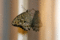 f:id:r1150gs_2002:20090905194913j:image:small f:id:r1150gs_2002:20090905194913j:image:small