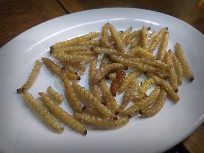 f:id:r1ckey:20161231151045j:plain