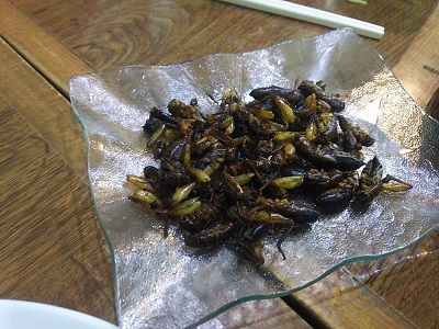 f:id:r1ckey:20161231151047j:plain