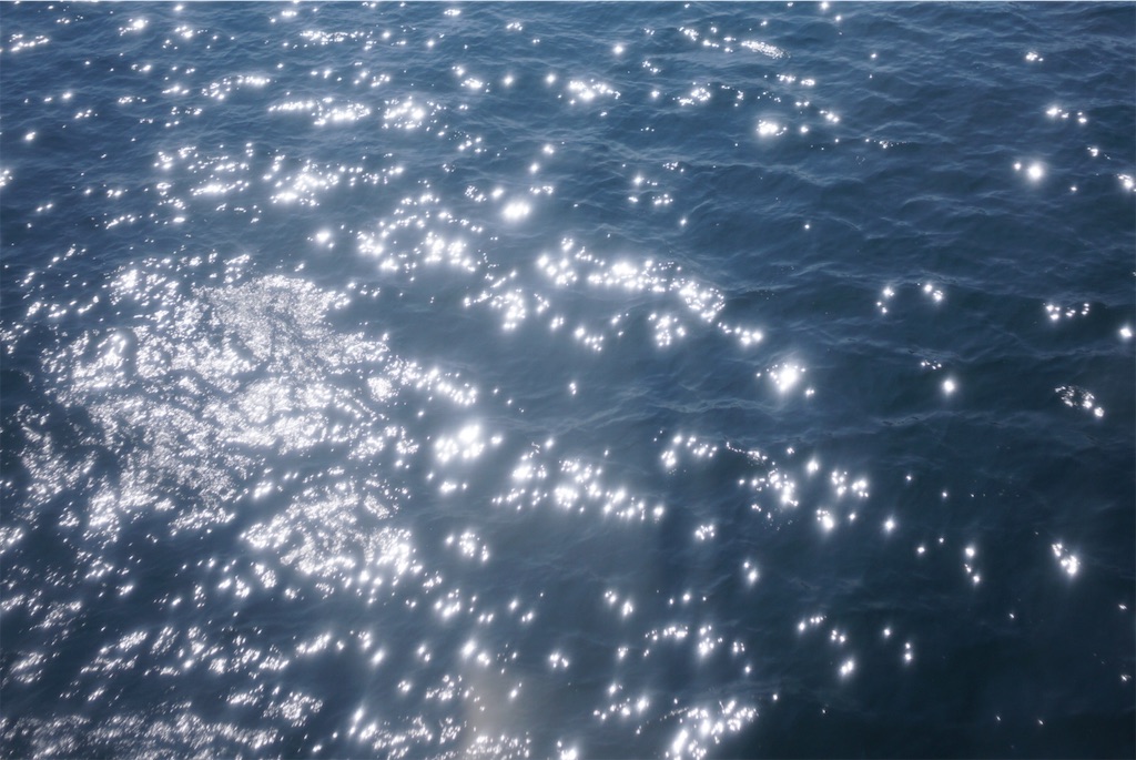 f:id:r1rr2r:20260113181551j:image f:id:r1rr2r:20260113181551j:image
