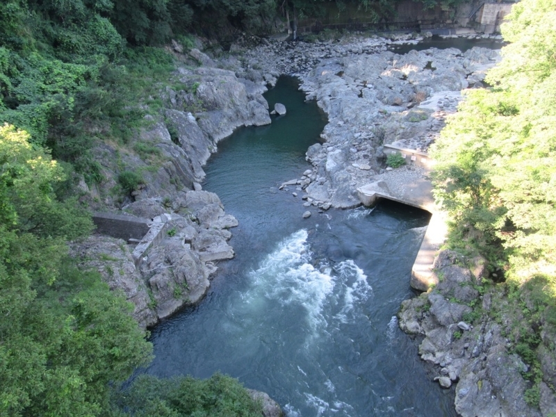 f:id:r20115:20200713105529j:plain f:id:r20115:20200713105529j:plain