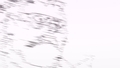20250518194601