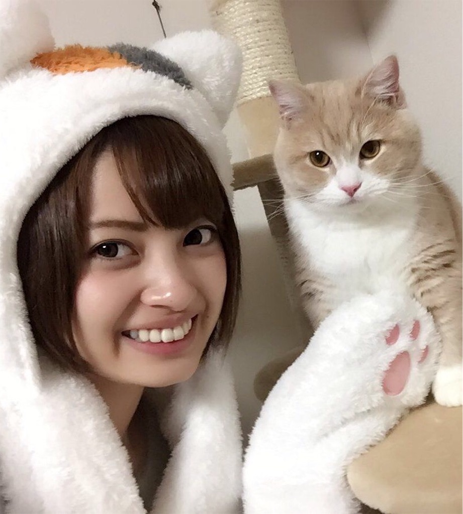 f:id:r225takui171:20190227094141j:image f:id:r225takui171:20190227094141j:image