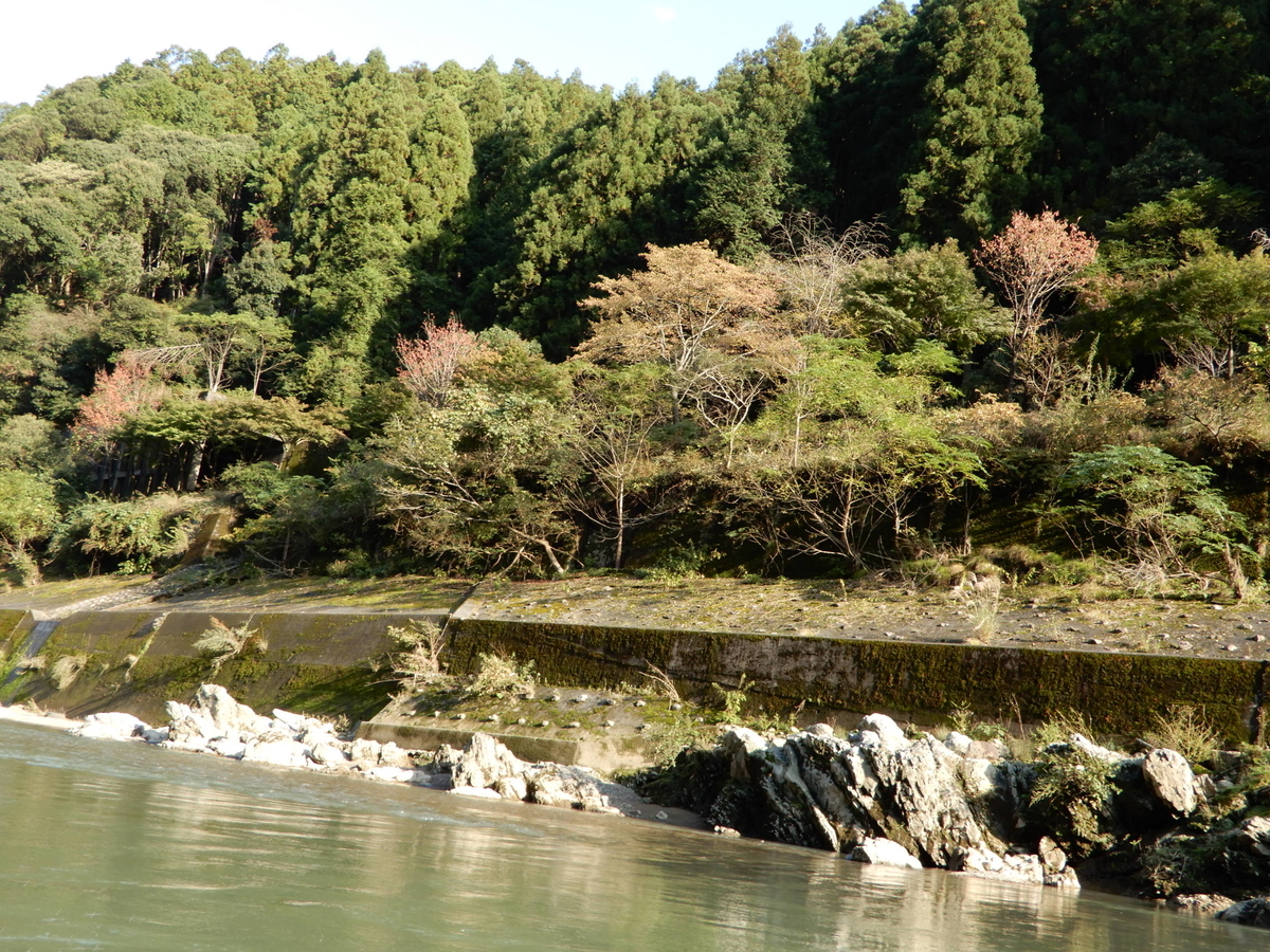 f:id:r246toshi:20191121124010j:plain