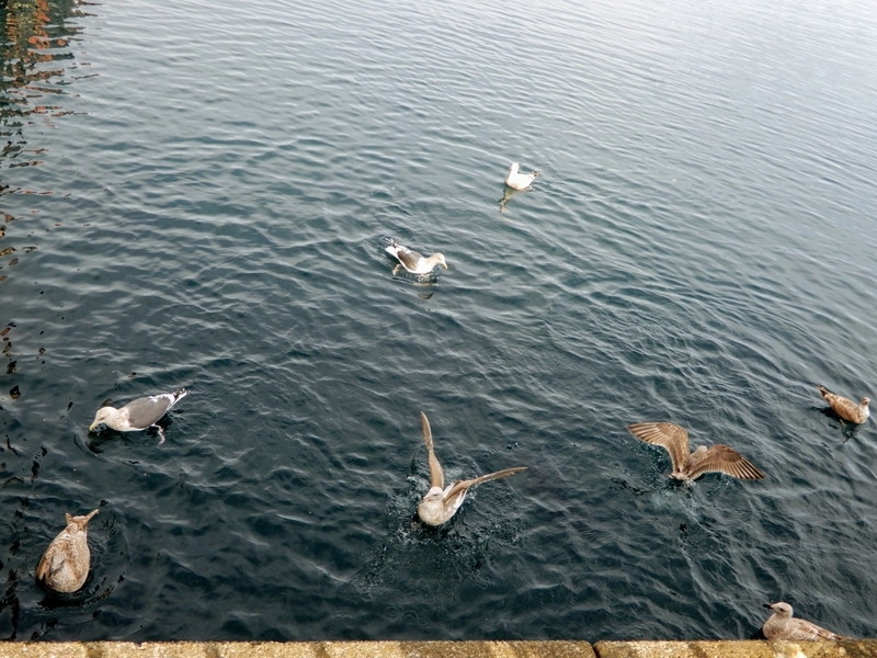 f:id:r246toshi:20191205162432j:plain