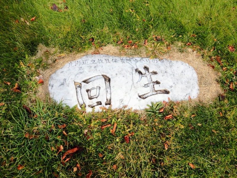 f:id:r246toshi:20191205162511j:plain