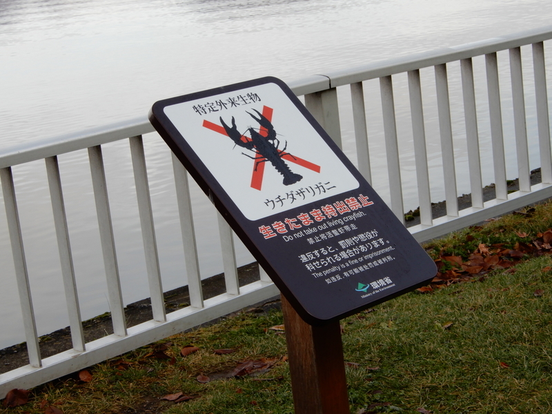 f:id:r246toshi:20191205162811j:plain