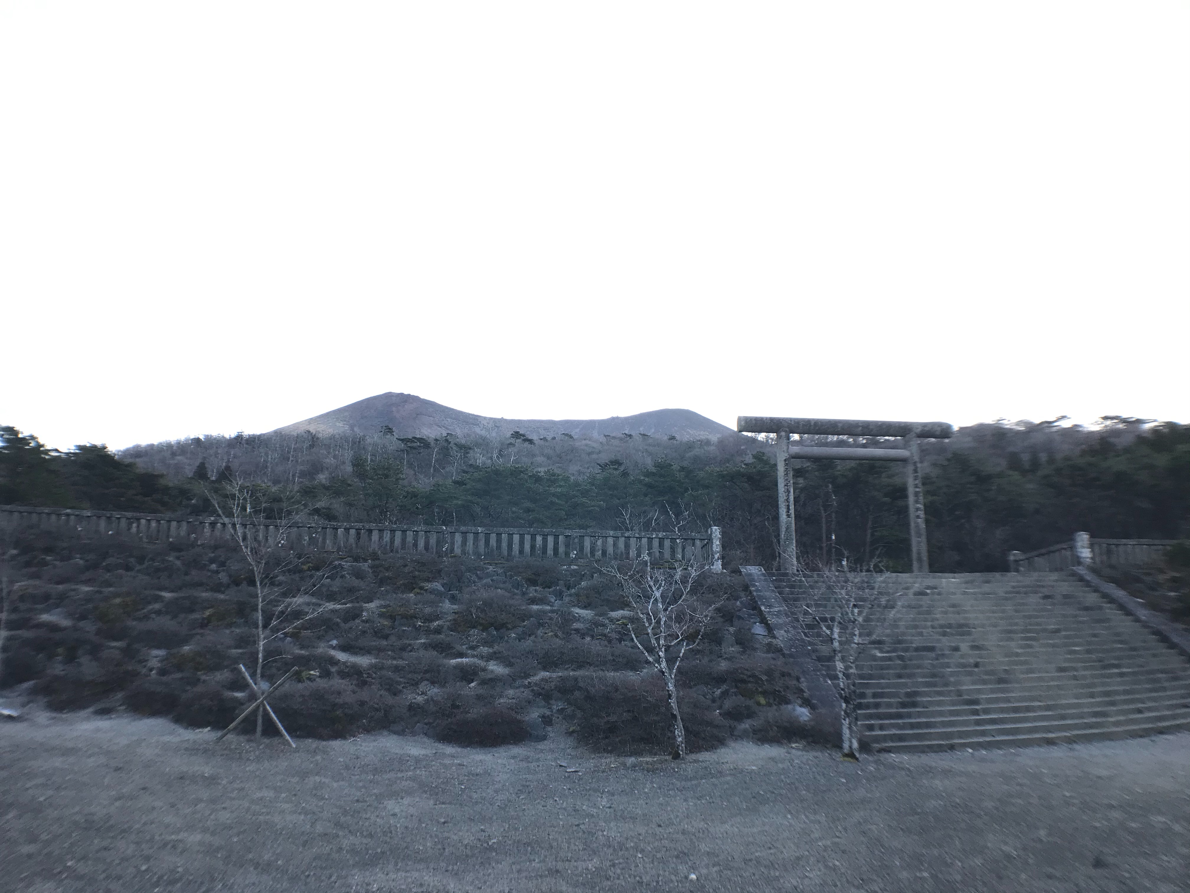 f:id:r24japan:20200219101328j:image f:id:r24japan:20200219101328j:image