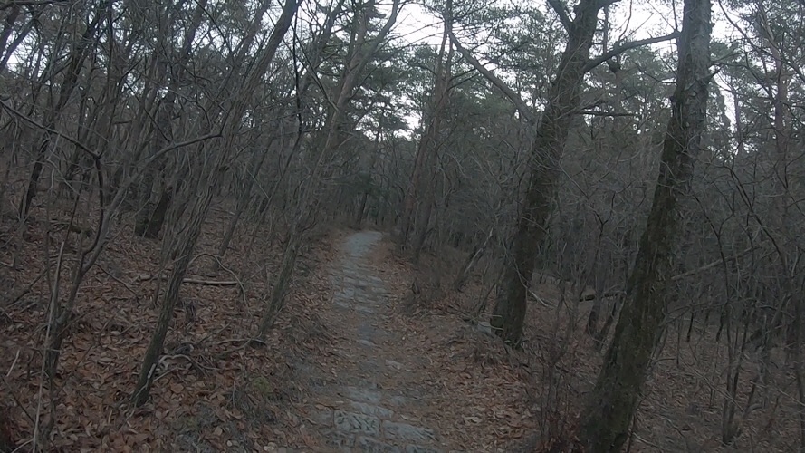 f:id:r24japan:20200219103643j:image f:id:r24japan:20200219103643j:image